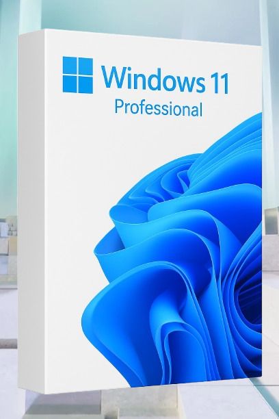 MICROSOFT Windows 11 Professional_AB013 1 User / 1 PC Lifetime Validity Retail License 32 /64 Bit (Flash Drive)-picture-19