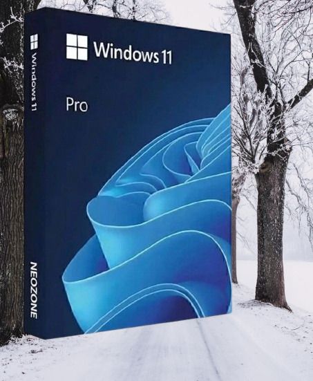 Orova Windows 11 Pro 64-Bit Genuine License Key_026 Pro 64-bit-picture-22