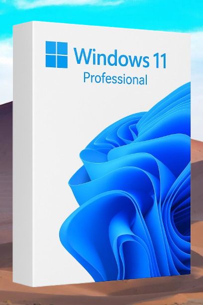 MICROSOFT Windows 11 Professional_AB015 1 User / 1 PC Lifetime Validity Retail License 32 /64 Bit (Flash Drive)-image-43