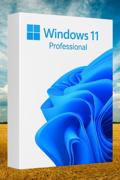 MICROSOFT Windows 11 Professional_AB032 1 User / 1 PC Lifetime Validity Retail License 32 /64 Bit (Flash Drive)-picture-47