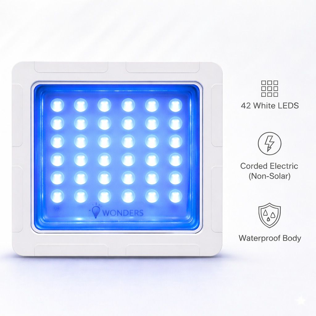 30W BLUE LED Flood Light | (Pack of 1) | Outdoor Lamp | 42 LEDs High Brightness | Energy Efficient, Long Life | Weatherproof & Electrically Insulated Safety Design Flood Light Outdoor Lamp