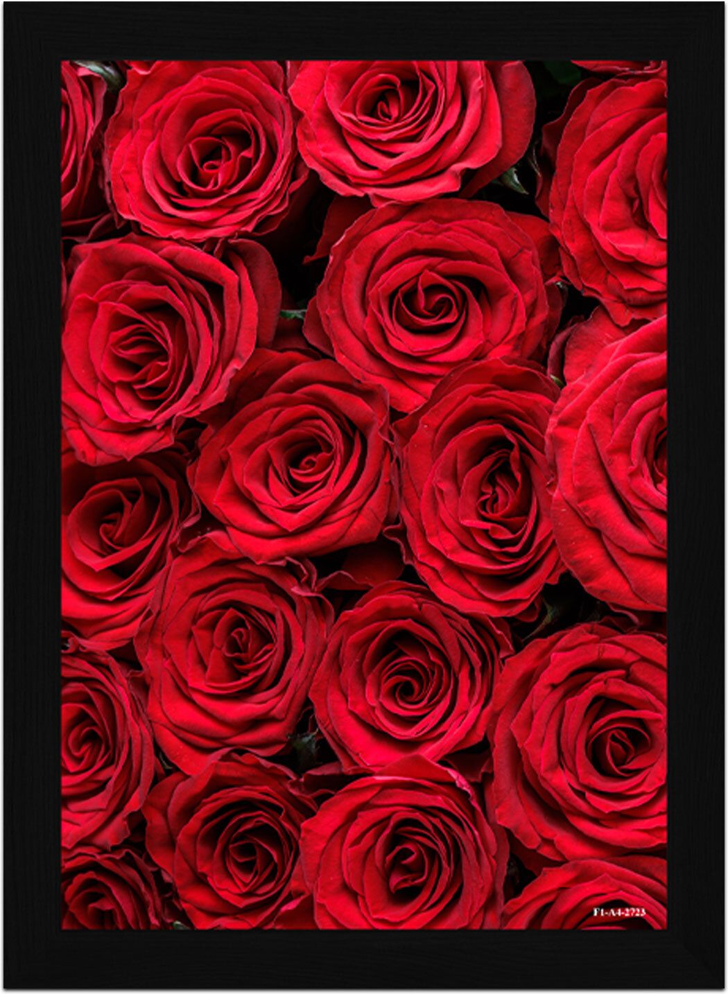 Crimson Bloom – Red Rose Wall A4 Digital Reprint 13 inch x 10 inch Painting-image-26