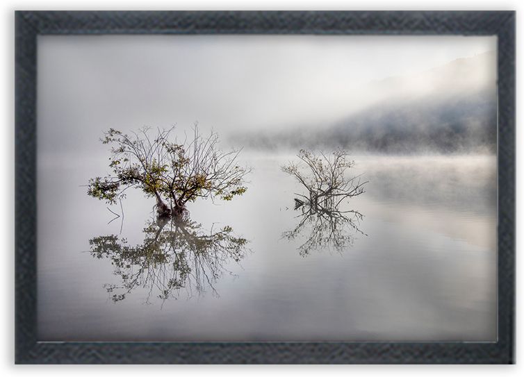 Beautiful Forest with Moon Wall Painting | Premium HD Nature Photo Frame Digital Reprint 10 inch x 14 inch Painting-image-21