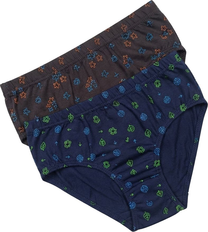 Women Hipster Grey, Blue Panty-image-21