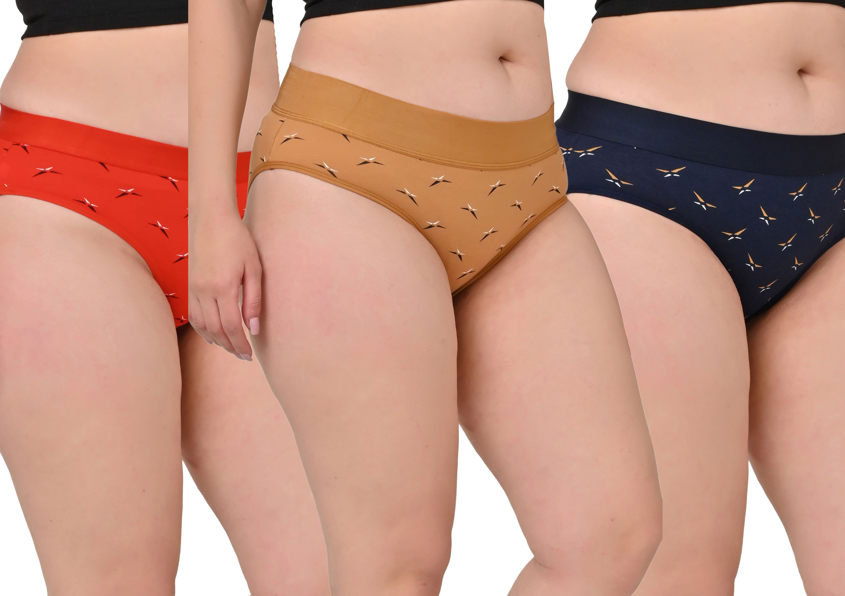 Pack of 3 Women Hipster Multicolor Panty
