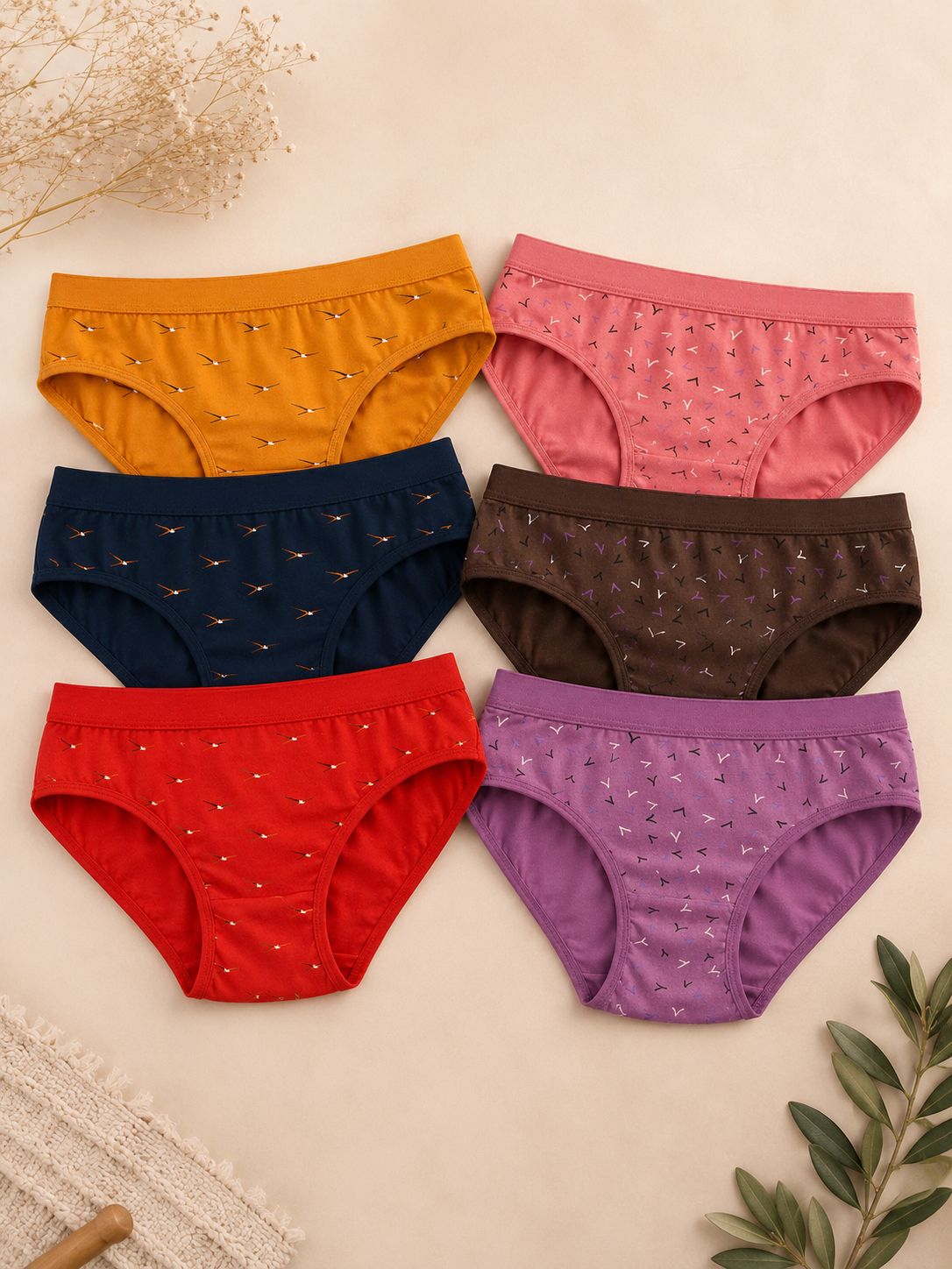 fiveflag Pack of 6 Women Hipster Multicolor Panty-picture-1