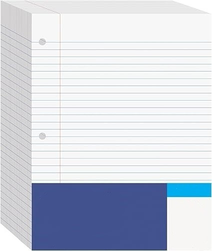 freedy A4 Ruled Sheet for Project/Assignment/Practical/Homework (Pack of 40 Sheets) 90 GSM A4 Size Both Side A4 90 gsm Multipurpose Paper image 1