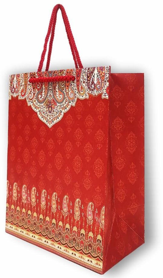 gift n greet Printed Party Bag-picture-27