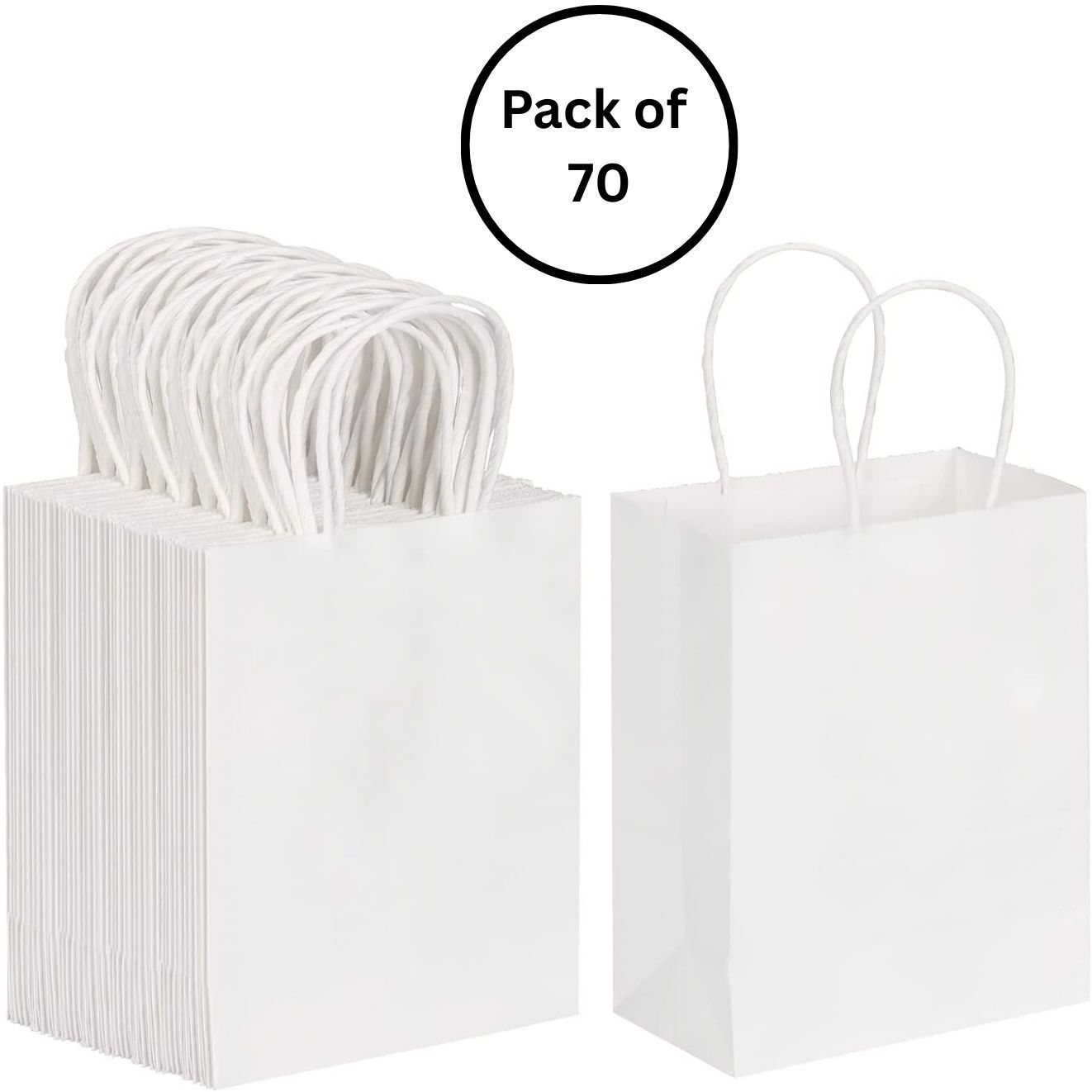 interbix nature plus pvt ltd Solid Party Bag-picture-22