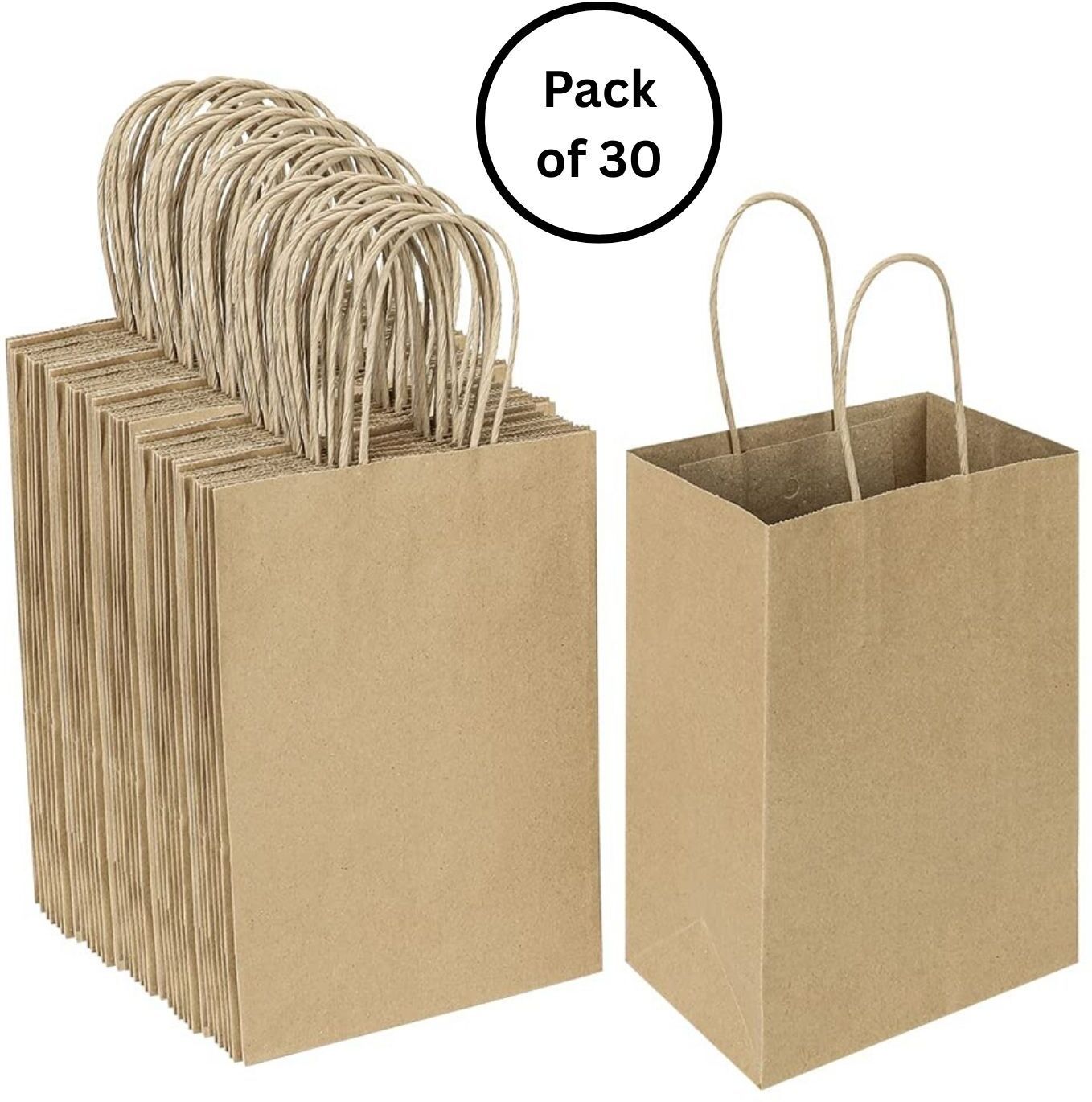 interbix nature plus pvt ltd Solid Party Bag-picture-18