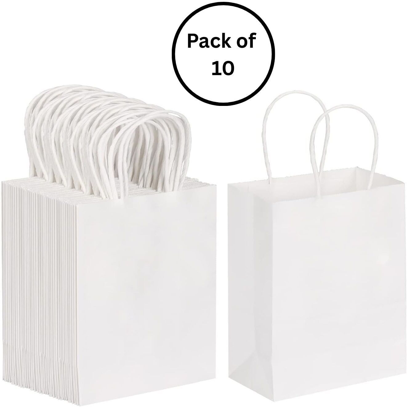 interbix nature plus pvt ltd Solid Party Bag-picture-23