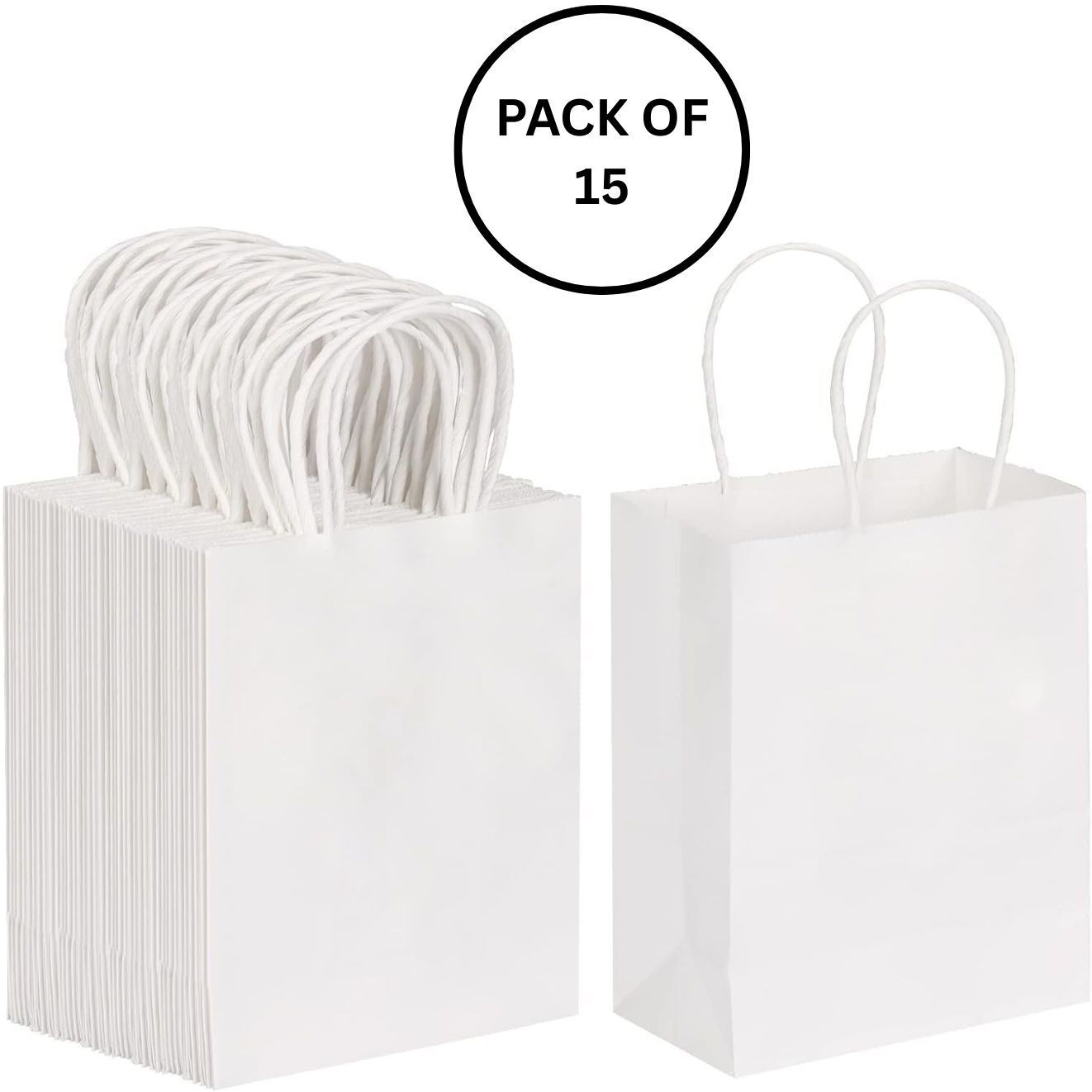 interbix nature plus pvt ltd Solid Party Bag-picture-19