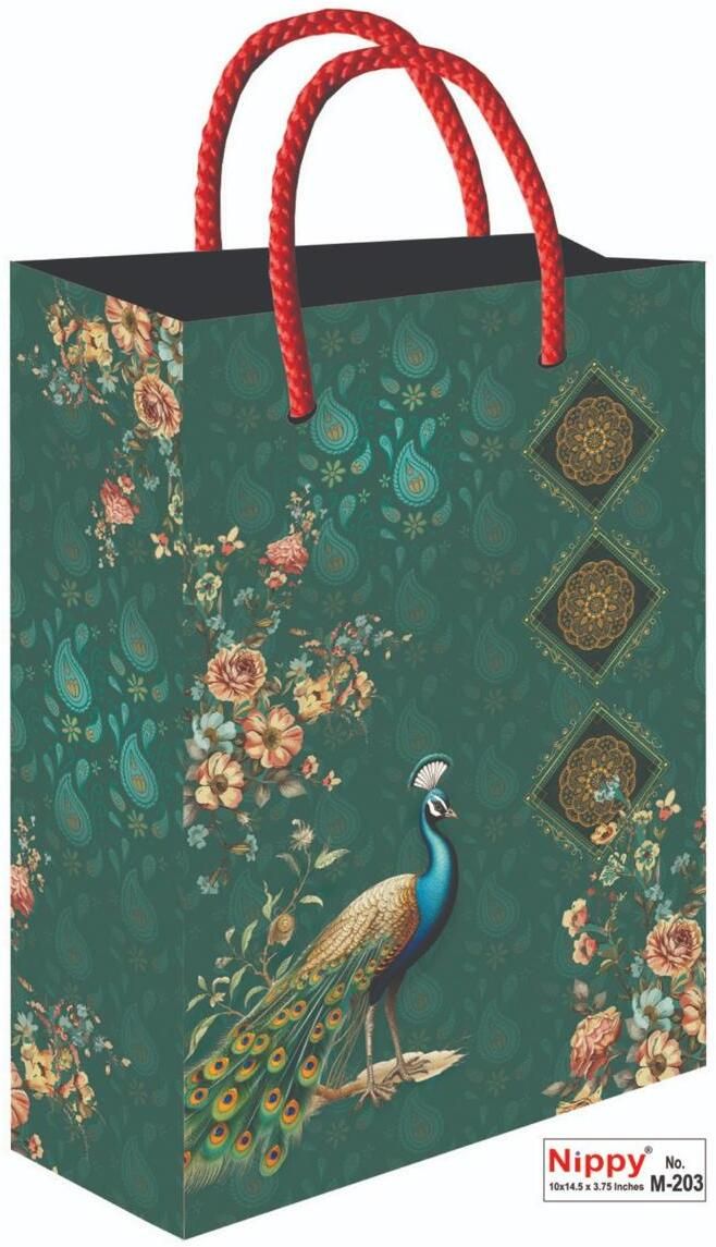 nippy Printed Party Bag-picture-10