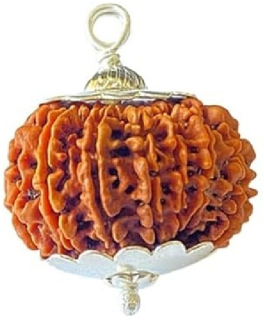 ceylonmine01 14 mukhi NEPALI rudraksha silver pendent Silver Wood Pendant Silver Wood Silver Beads Alloy Pendant-picture-23