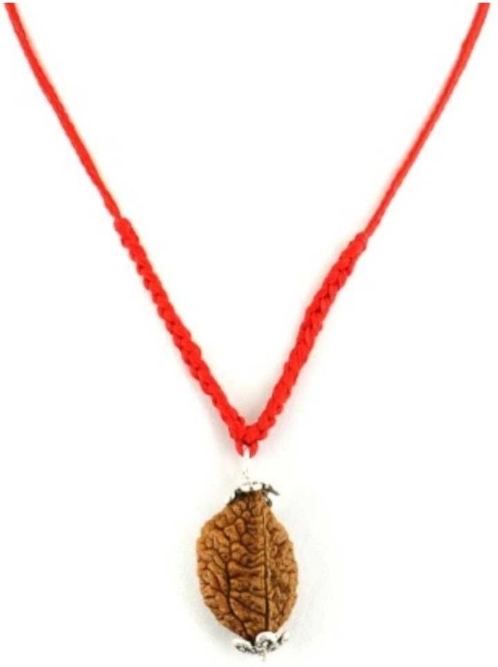 divine souvenirs 100 % Original & Natural Two Face /2 Mukhi Rudraksha With JGL Lab Certified Wood Pendant-picture-0