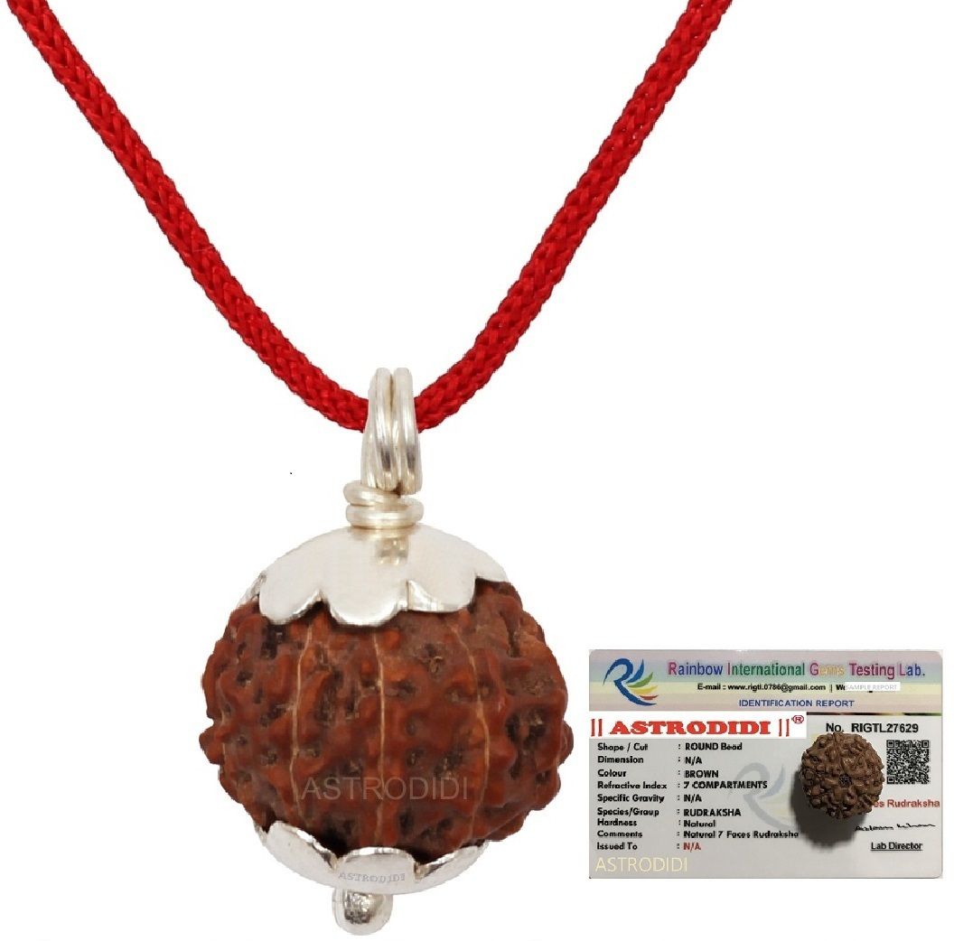 7 Mukhi Rudraksha Original Natural Siddha Seven Face Rudraksha Silver Wood Pendant-image-20