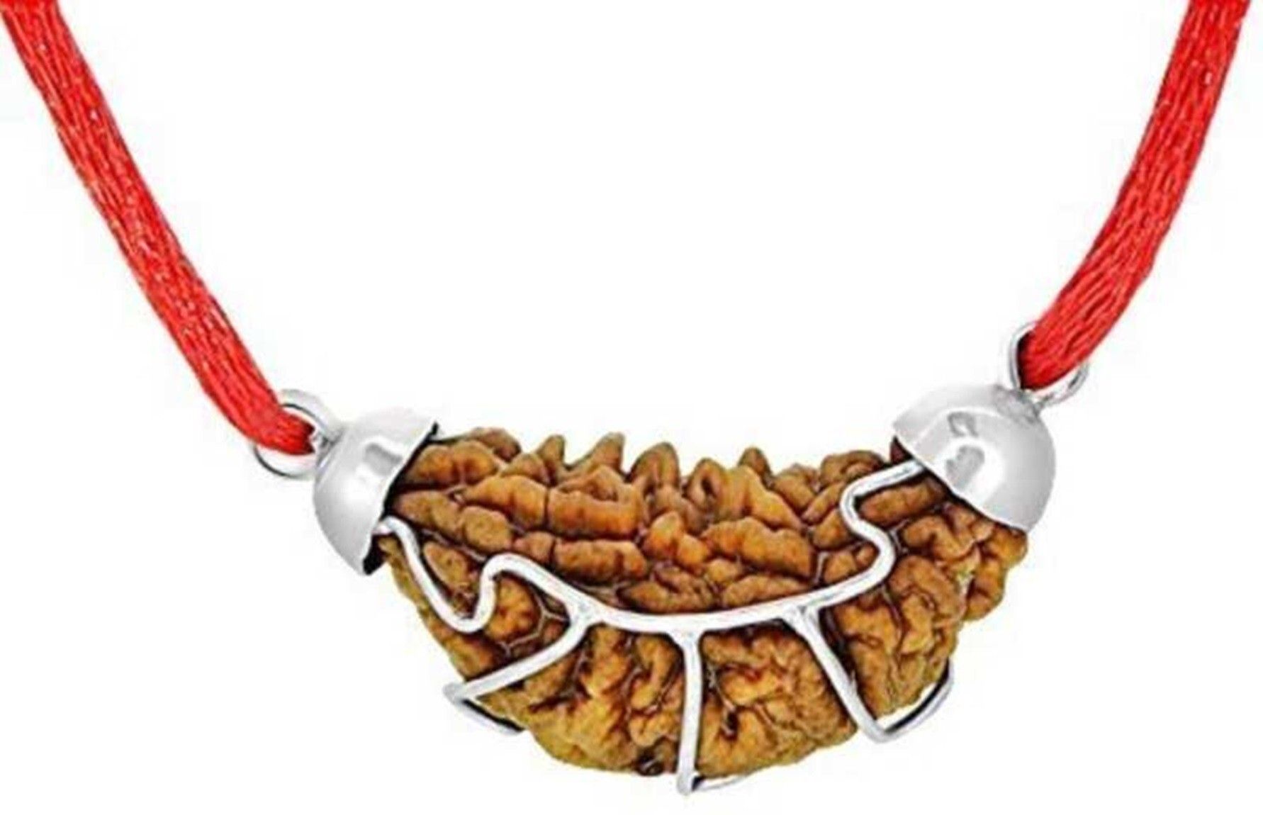 divine souvenirs 1 Mukhi Lab Certified Genuine & Authentic Rudraksha | One Face | Ek Mukhi Pendan Silver Wood Pendant-picture-10