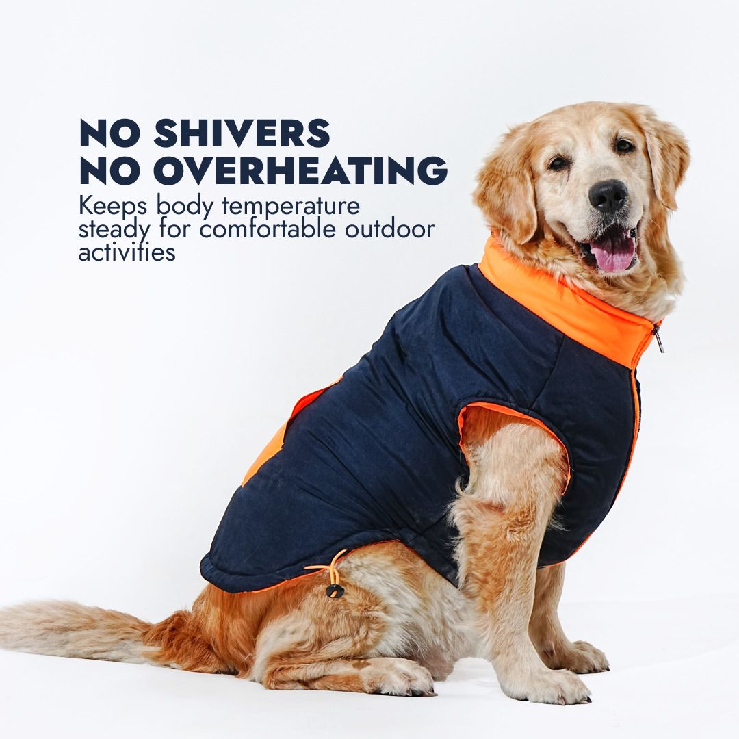 barks & wags Winter Jacket for Dog, Cat-picture-37