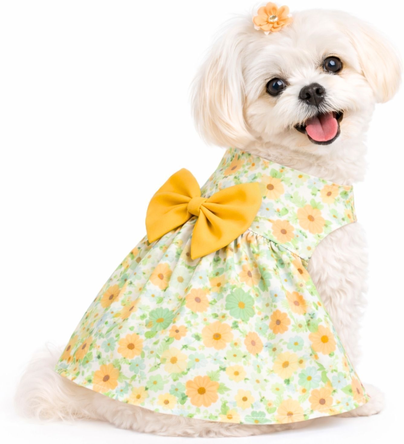 buraq Costume for Dog, Cat-picture-35