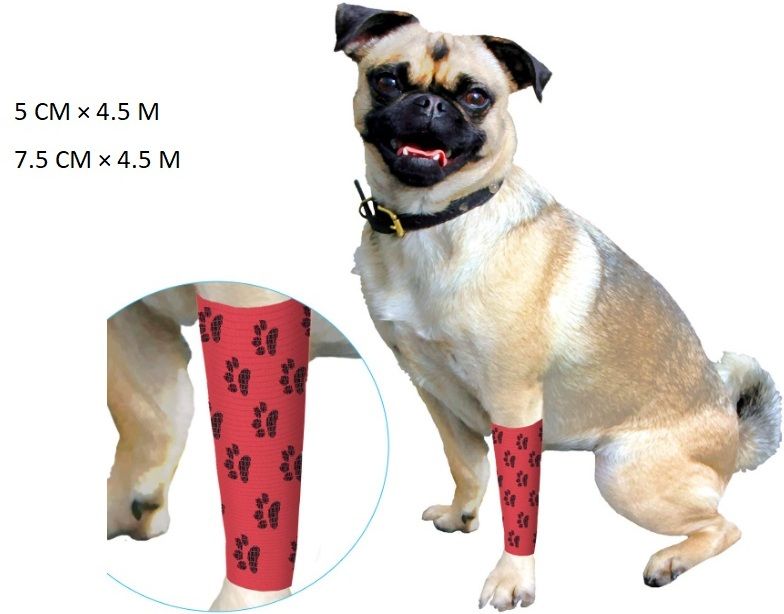 Non-woven Gauze Pet Bandage-image-47