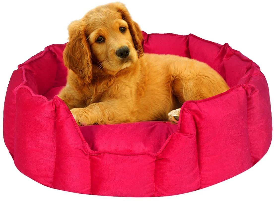 PremiumQuality Velvet Luxury Washable DOG Sofa For All Season Sleeping CatPuppy M Pet Bed-image-25