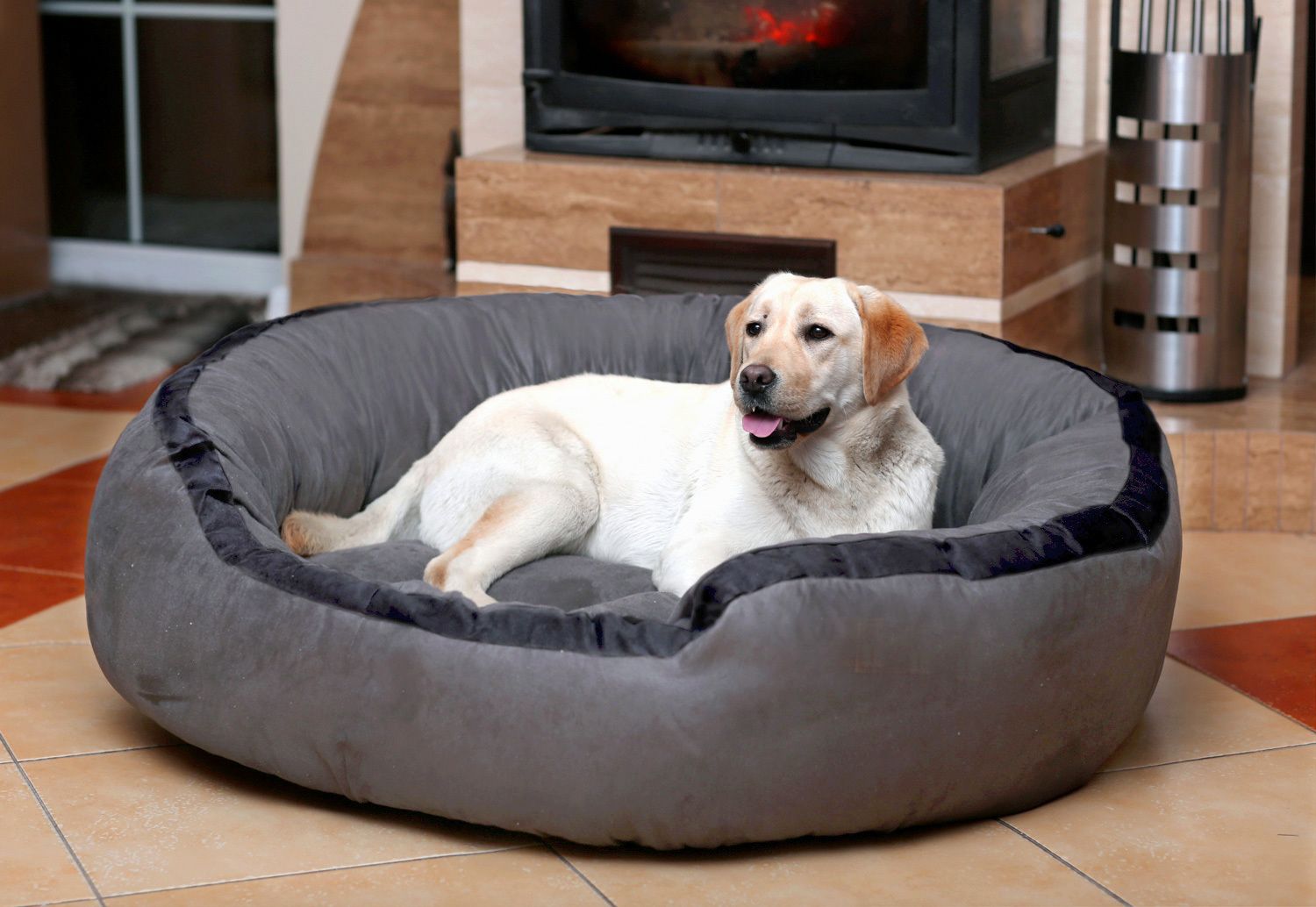 Best Comfortable 4Xl Large Dog Beds for cat and puppy XXXL Pet Bed-image-29