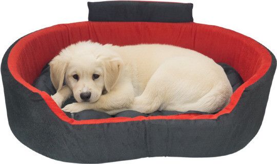 havens dream Dog Bed, Sofas Bed & Chairs Bed With Haddi S Pet Bed-picture-20