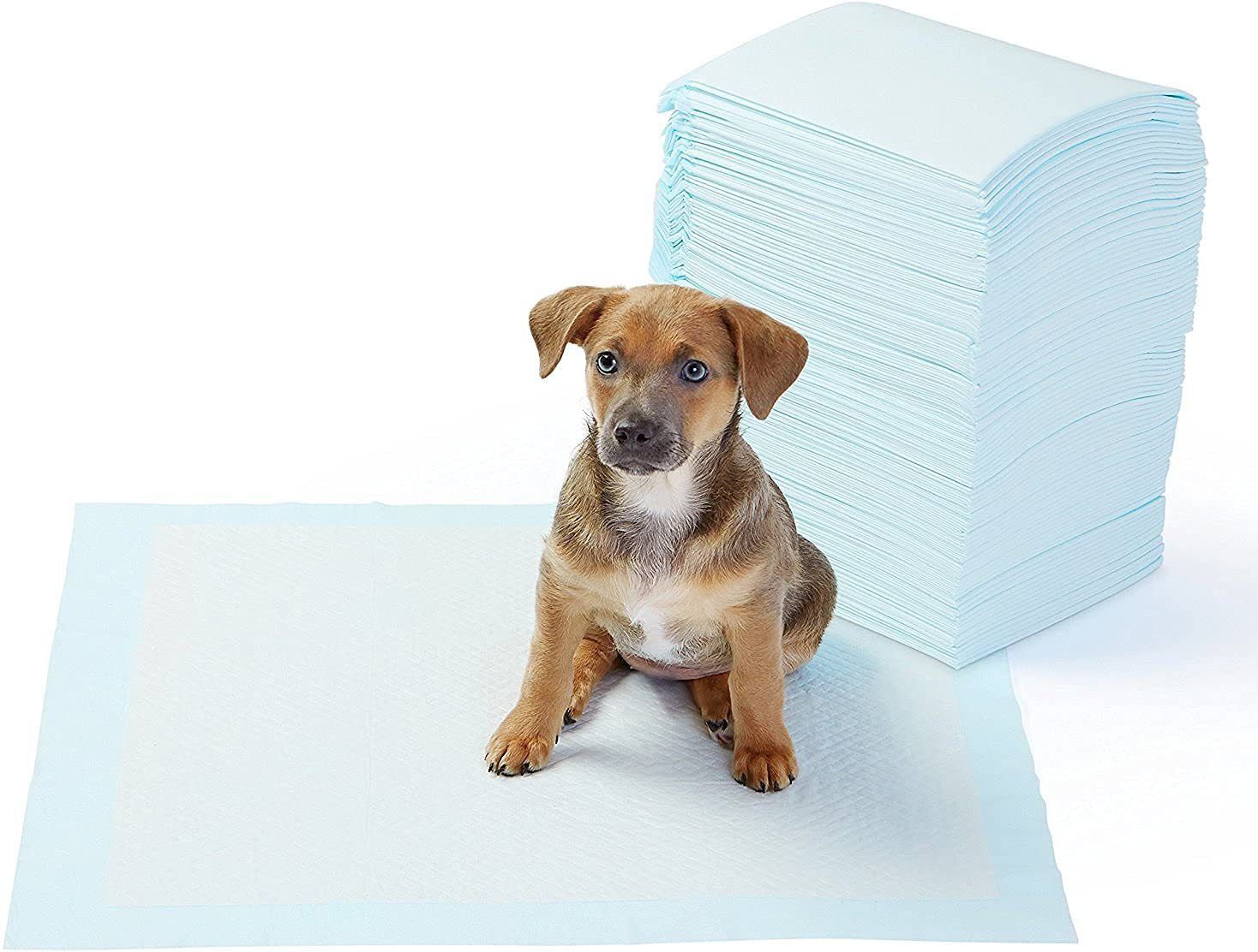 Puppy training pee pads pet potty training pads for puppy & dog 10 Pcs M Pet Bed-image-2