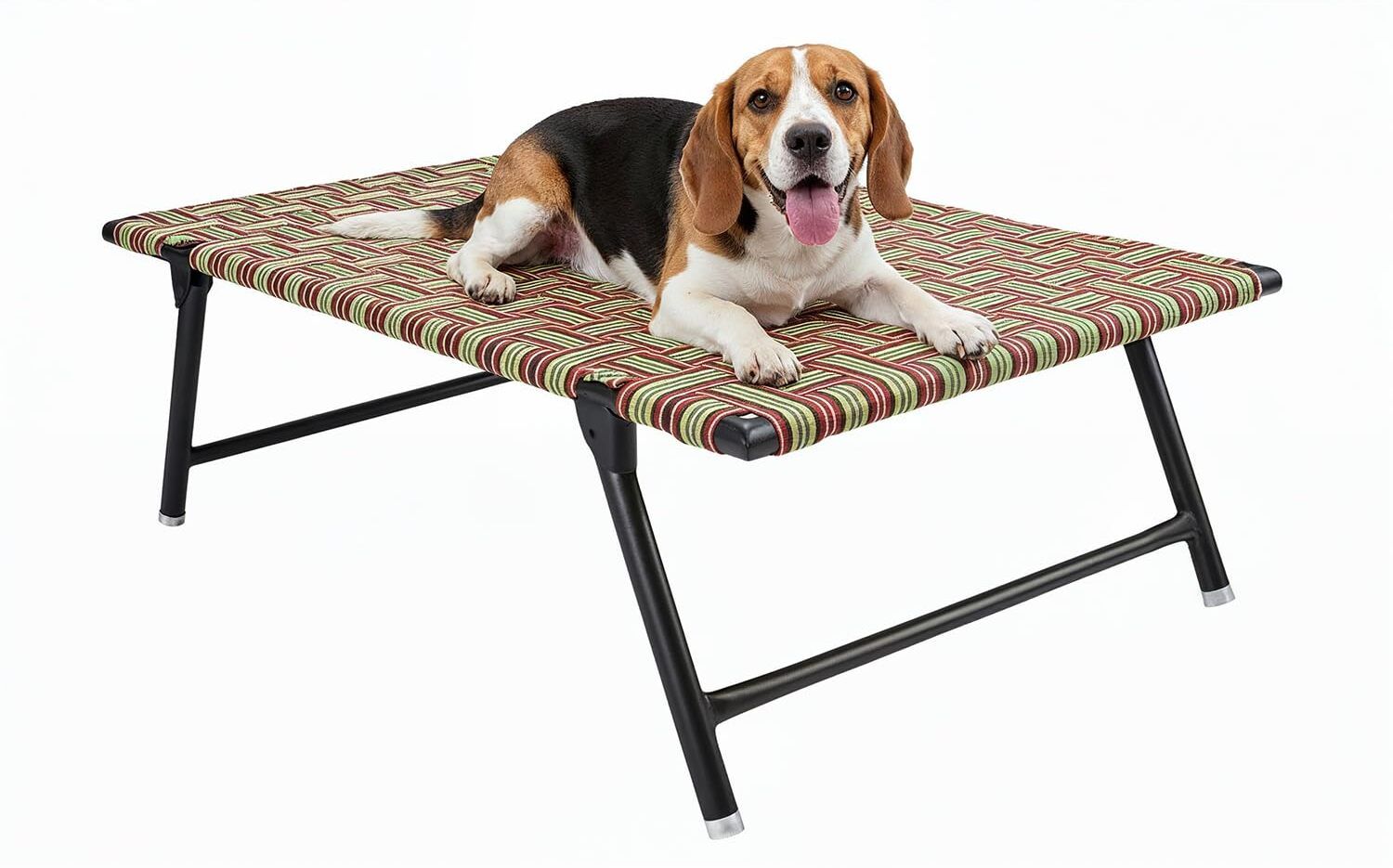 nattnak we truly cares Nattnak Heavy Duty Foldable Dog Bed 36x24x8 Inch Iron Frame with Nylon Niwar L Pet Bed-picture-13