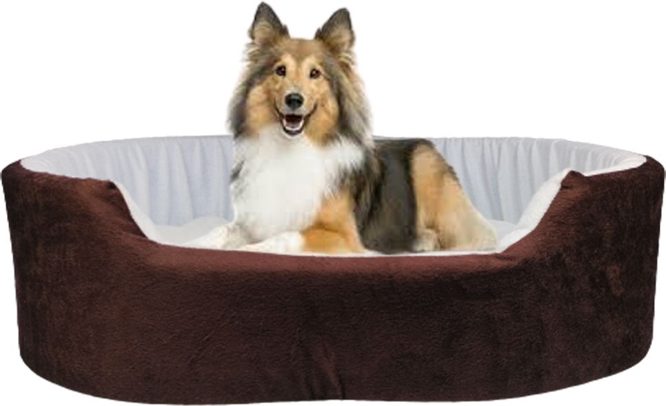 furry smile Latest Design Rounded Dog Bed, Sofas Bed & Chairs Bed S Pet Bed-picture-12