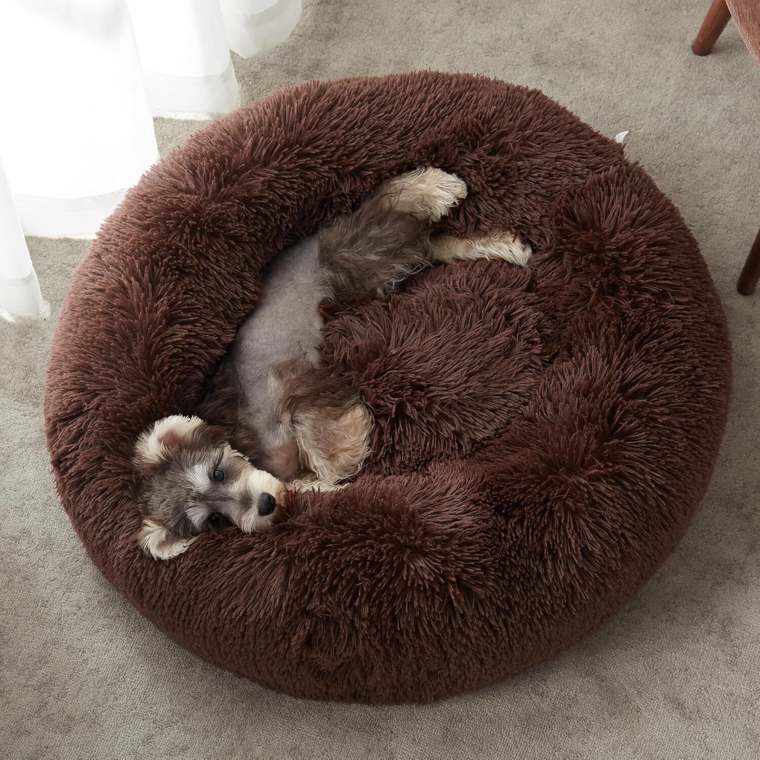 The round donut pet bed is perfect for indoor cats and puppies winter, Summer M Pet Bed-image-23