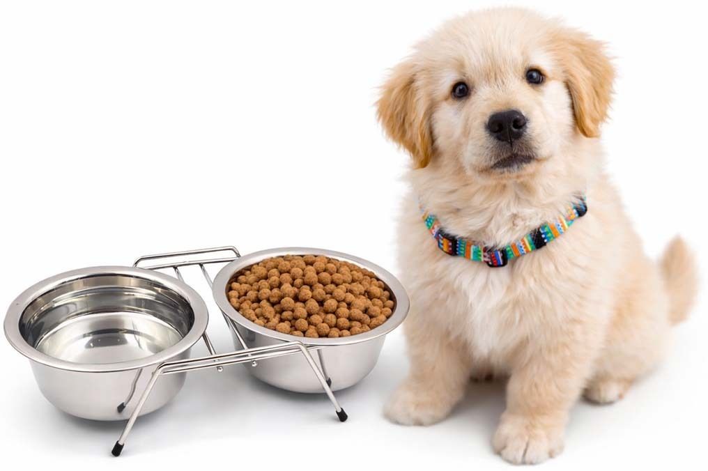 rvpaws Pets Double Elevated Food and Water Stand Bowls Dinner Bowl for cat and Puppy Stainless Steel Pet Bowl-picture-27