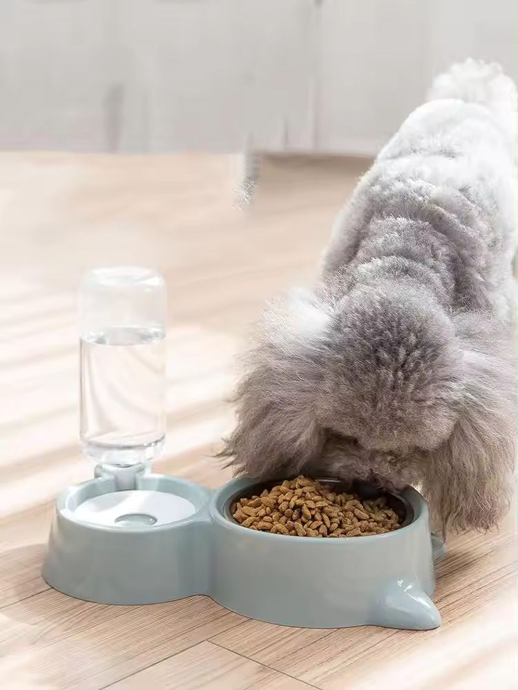 fbk empire Cat & Dog Bowl Set With Replaceable Water Bottle|Premium PP Plastic| Polypropylene, Plastic Pet Bowl & Bottle-picture-29