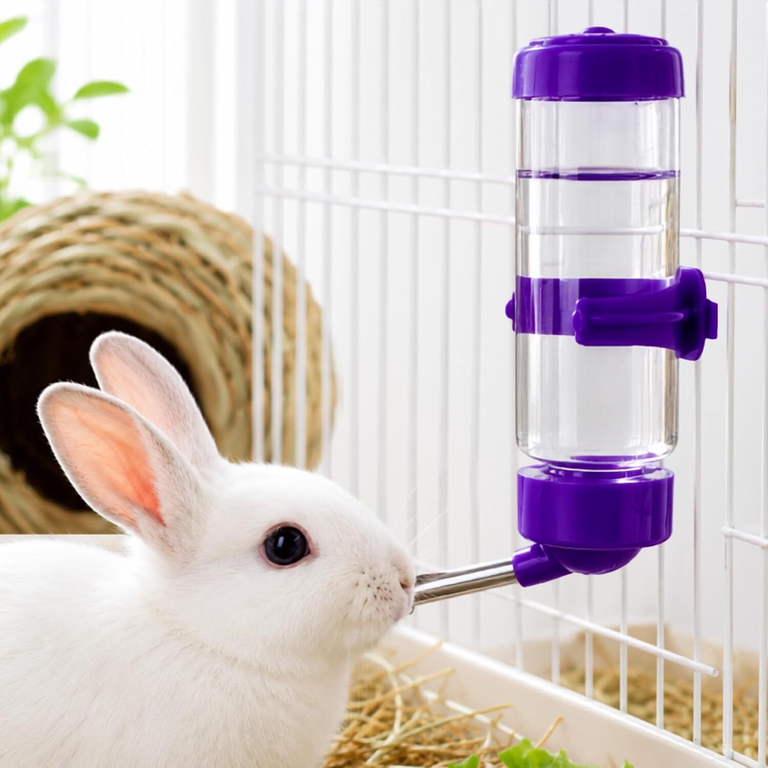finypetz 125ML Leak-Proof Pet Water Bottle with Cage Mount for Rabbits & Hamsters Plastic Pet Bottle-picture-10