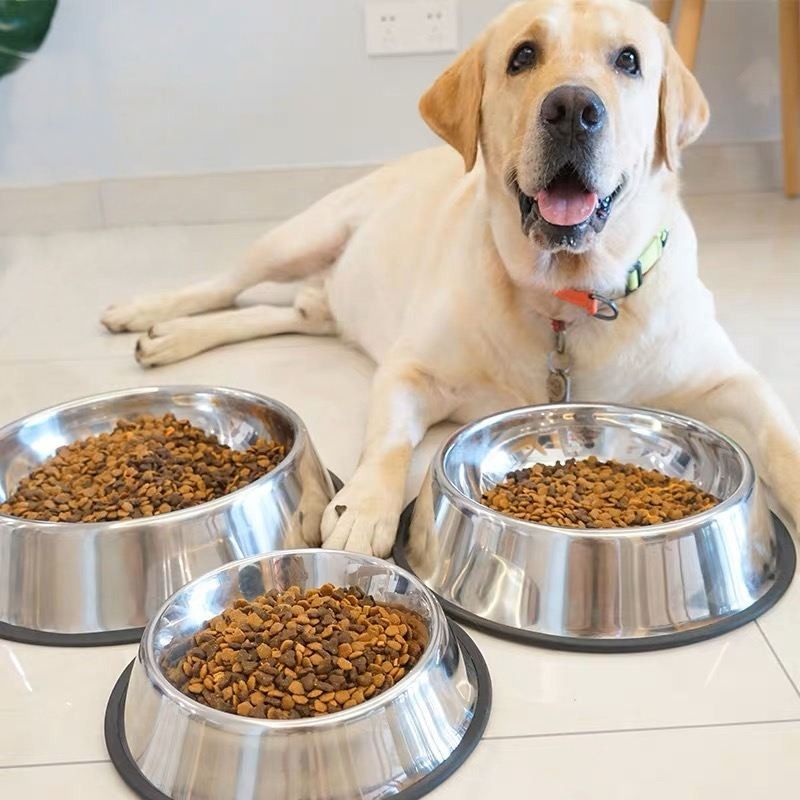 shakya green Stainless Steel Pet Bowl-picture-37