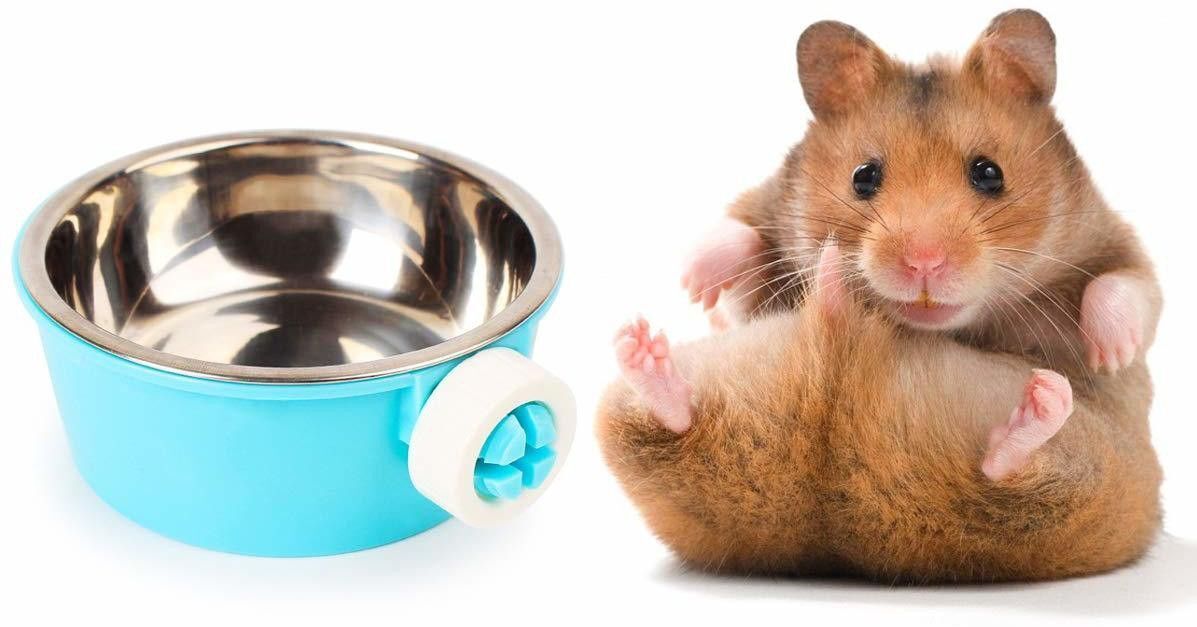 Stainless Steel, Plastic Pet Bowl-image-29
