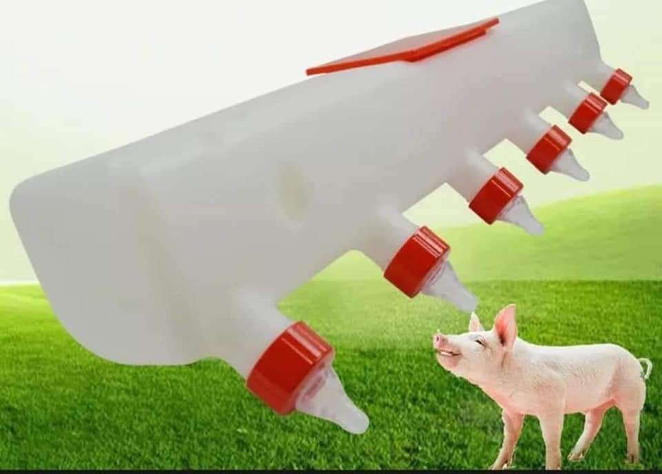 Piglet Milk Feeder Pig Feeding Machine for piglet goat 7 Silicone Nipples 8L Polypropylene Pet Bowl & Bottle-image-8