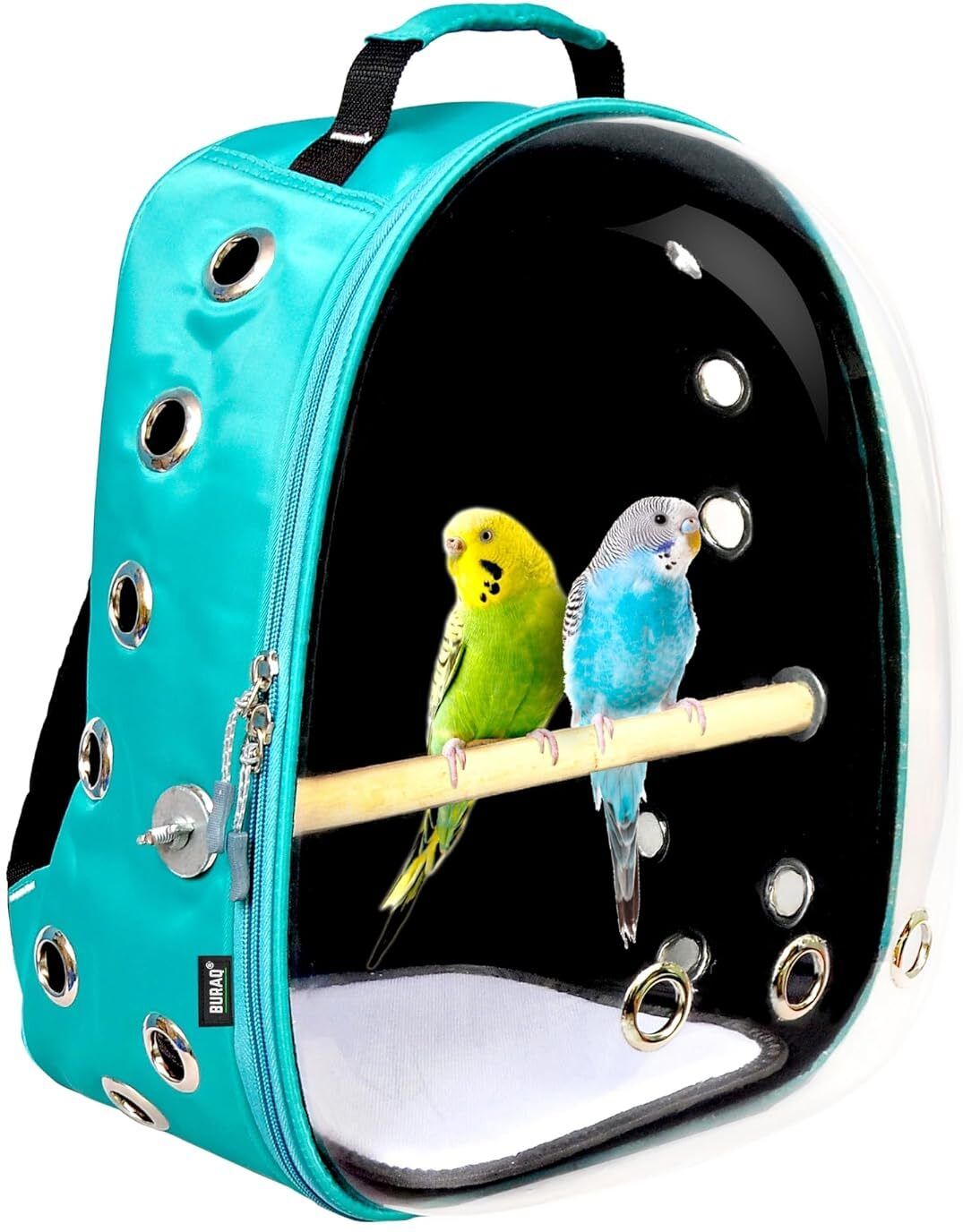 Bird Carrier Backpacks Astronaut Transparent for Travel, and Outdoor for Birds Sea Green Backpack Pet Carrier