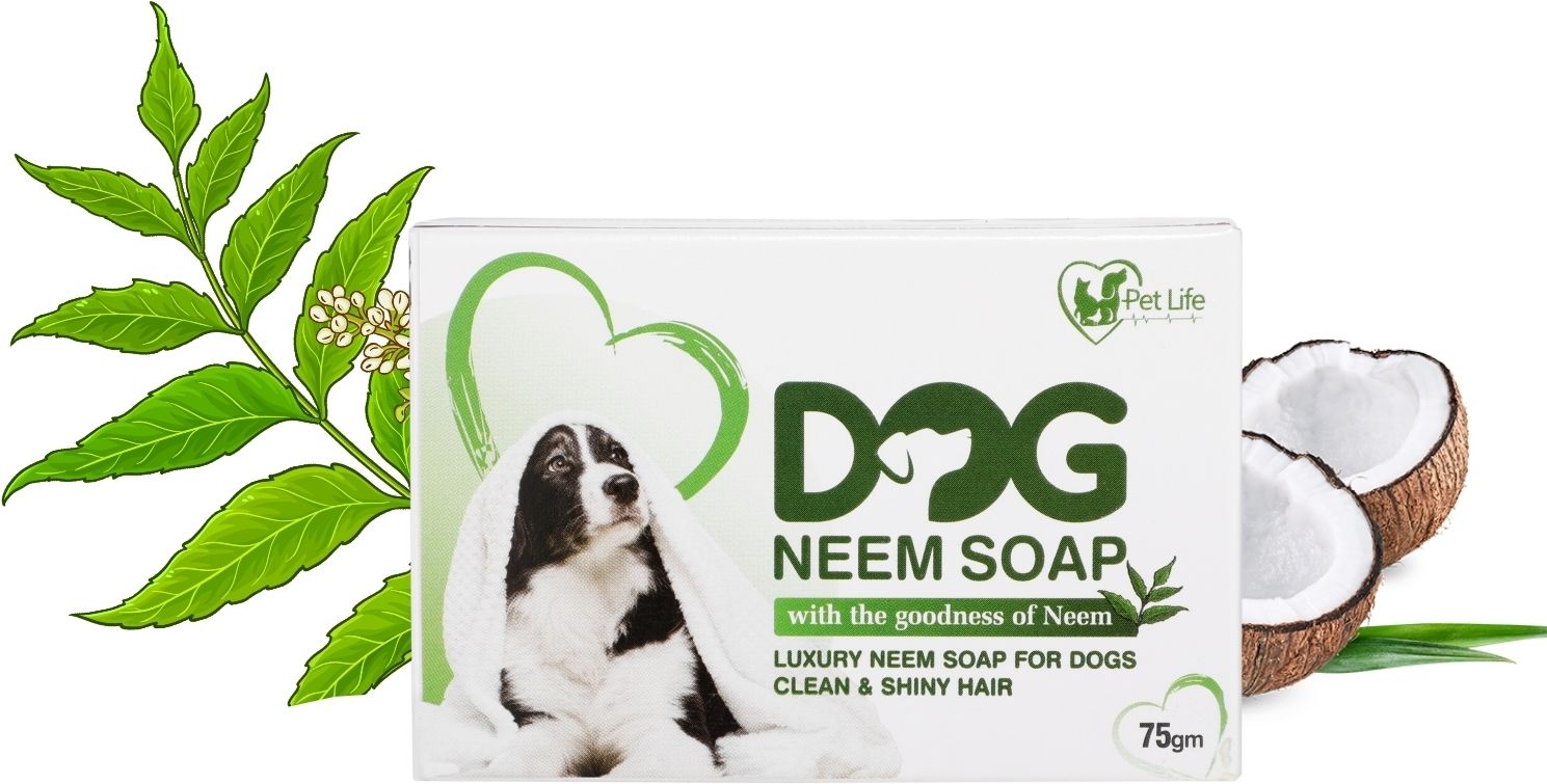 pet life Dog Neem Soap For Cleans Dirt, Dust From Hair Of Dogs |Keep Healthy & Shiny Hair 75 ml Pet Coat Cleanser-picture-48