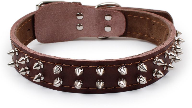 dogtrust Suitable for Large Breeds Size 1.25 Inch Embellished Dog Collar Charm-picture-12