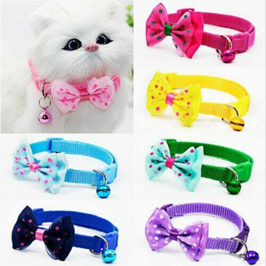 psk pet mart 6pcs-Bow Tie Purani Dog & Cat Everyday Collar-picture-33