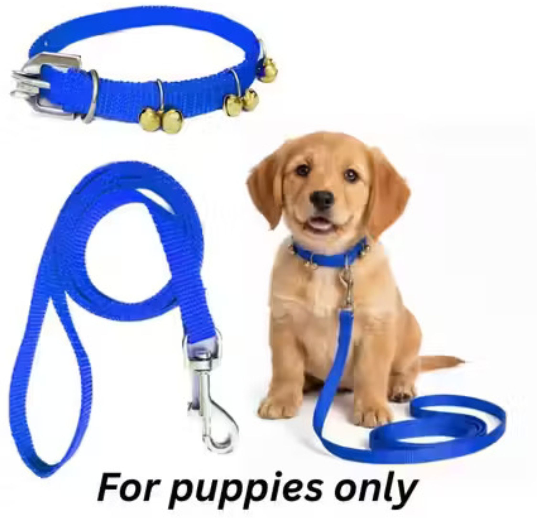 s.blaze Ghungroo Neck Collar Belt and Leash with Adjustable Dog & Cat Collar & Leash-picture-40