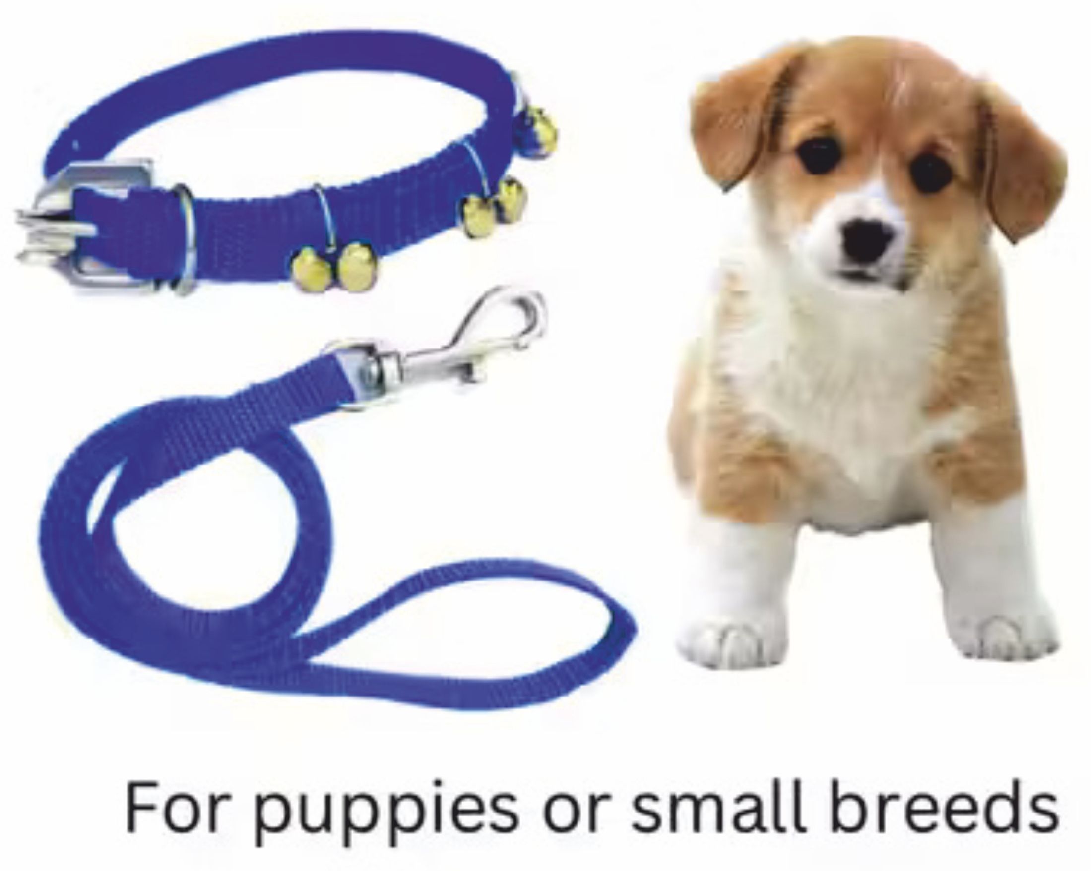 s.blaze Blue Ghungroo Neck Collar Belt and Leash with Adjustable Dog & Cat Collar & Leash-picture-25