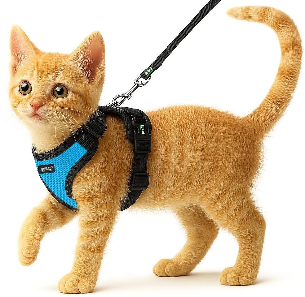 buraq No Pull Cat Harness with Leash, Escape Proof, Ultra-Light Weight Cat Training Harness-picture-29