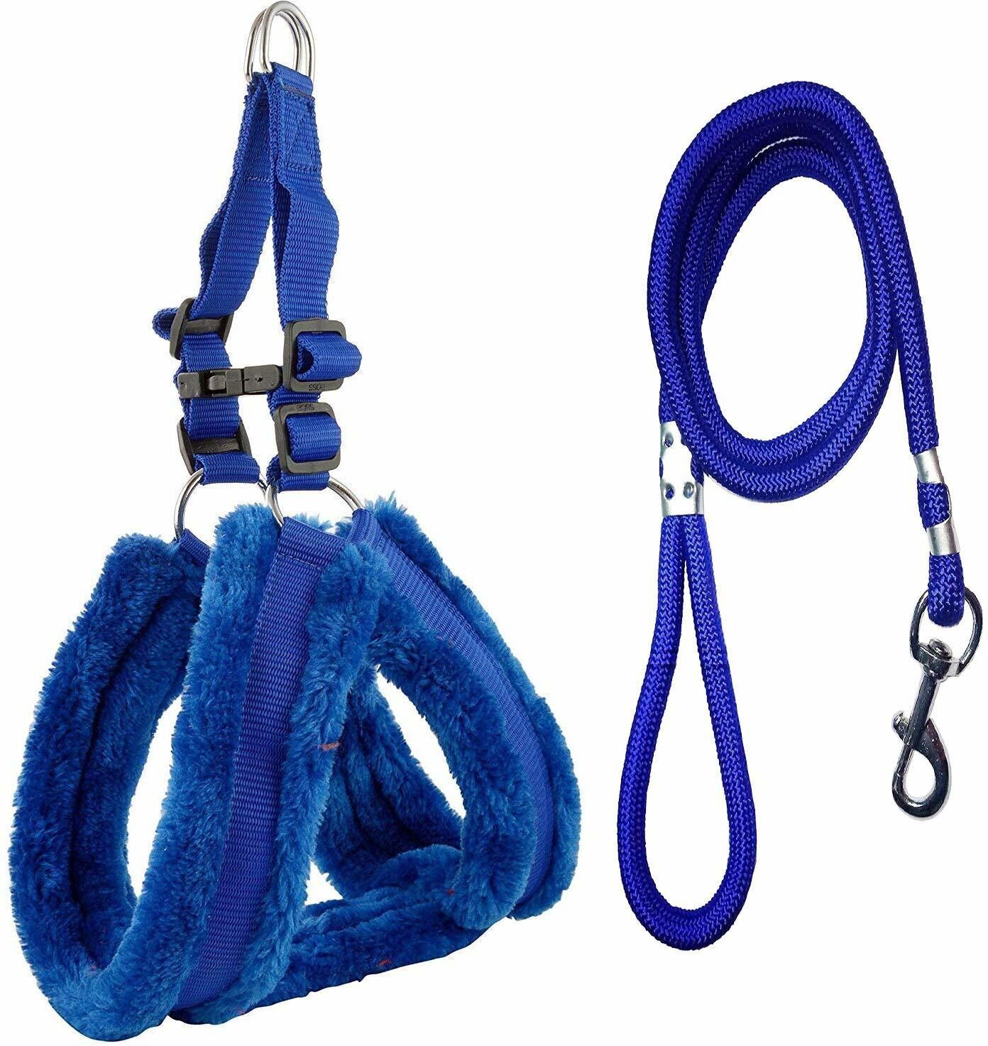 smart doggie Combo of Adjustable Dog Harness Chest Belt and Leash for Small Dog Harness & Leash-picture-19