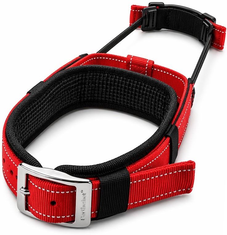 Heavy Duty Adjustable Pet Collar Integrated Short Leash (XL) Dog Collar & Leash-image-33