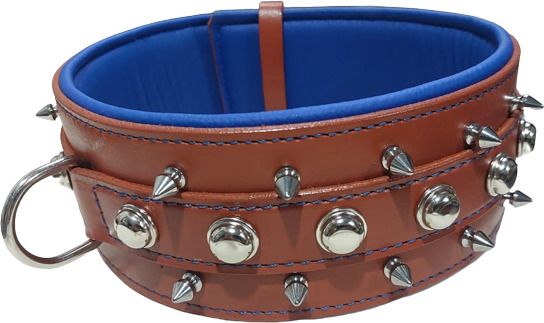 shagul dog leather collar adjustable size 46-56 color black and ten available Dog Show Collar-image-34