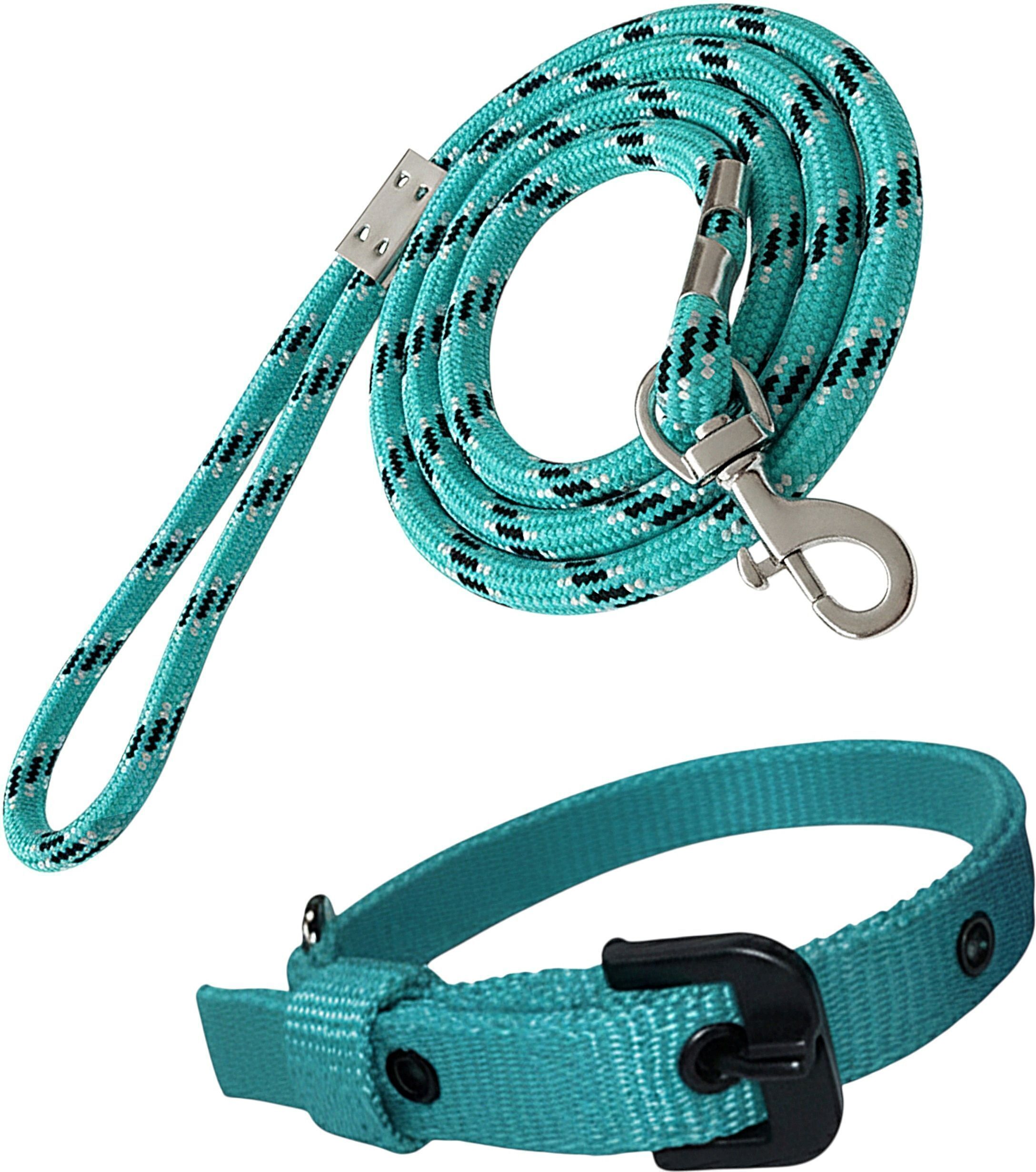 Best dog belts & dog collar for small & medium dog (collar 0.75 inch, belt 10mm) Dog & Cat Collar & Leash-image-29
