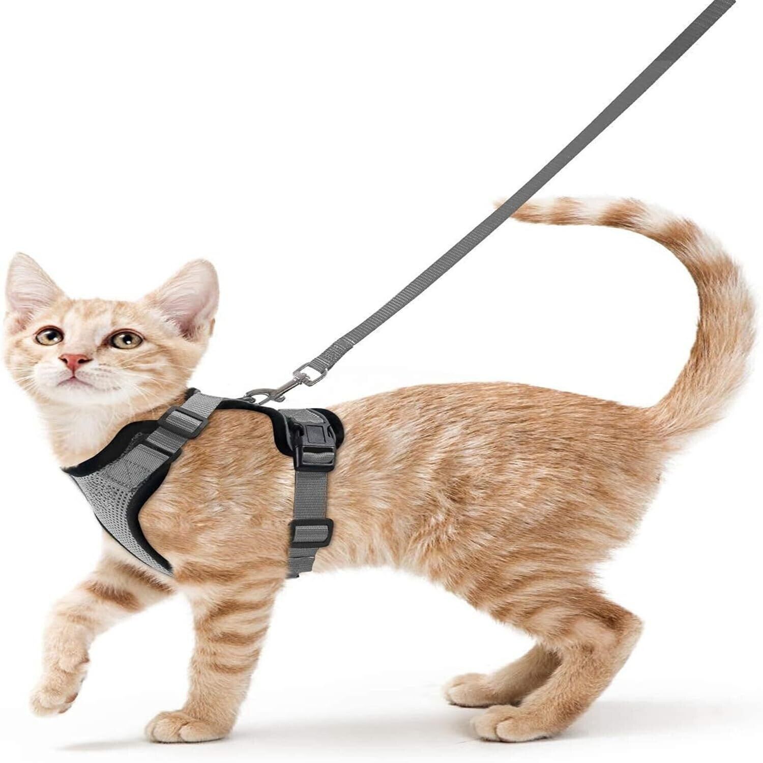 Escape Proof No Pull Cat Harness with Leash for Outdoor, Walking Cat Harness Cat Harness & Leash-image-26