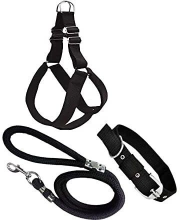 Dog Collar & Leash